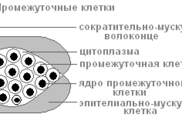 Как вывести деньги с кракена тор