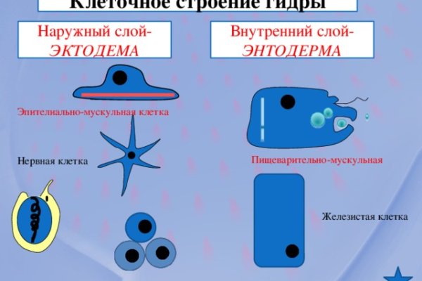 Как войти на сайт кракен