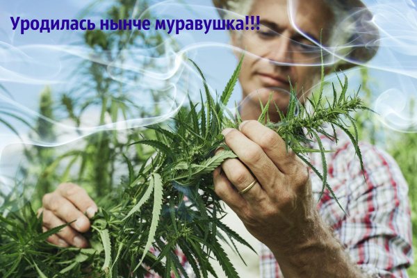 Кракен зеркало krakenat2krnkrnk com