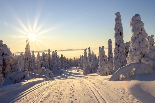Кракен сайт даркнет