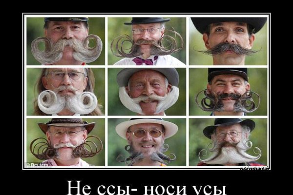 Какой нужен тор чтоб зайти в кракен