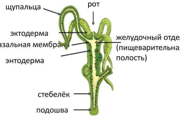 Оригинальные ссылки кракена
