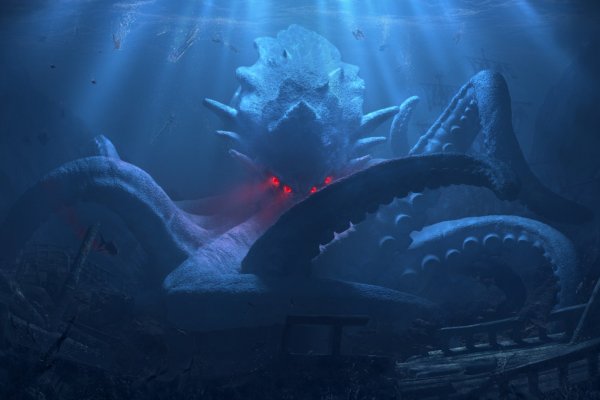 Kraken 24at