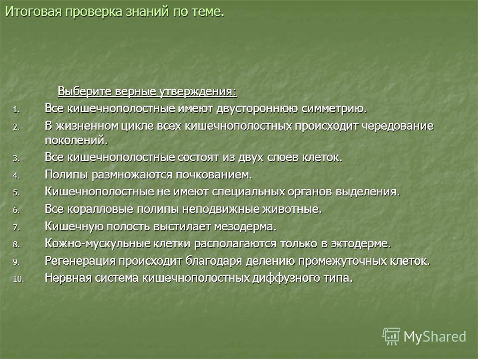 Кракен 17 вход