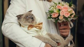 Каталог сайтов даркнет